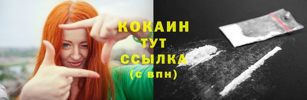 apvp Кукмор