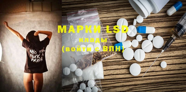 apvp Кукмор