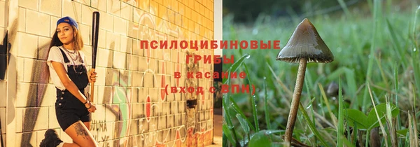 apvp Кукмор