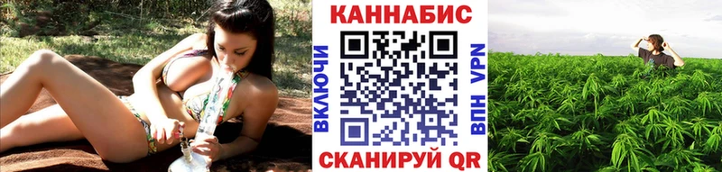 кракен как зайти  даркнет официальный сайт  Бошки Шишки конопля  Малгобек 